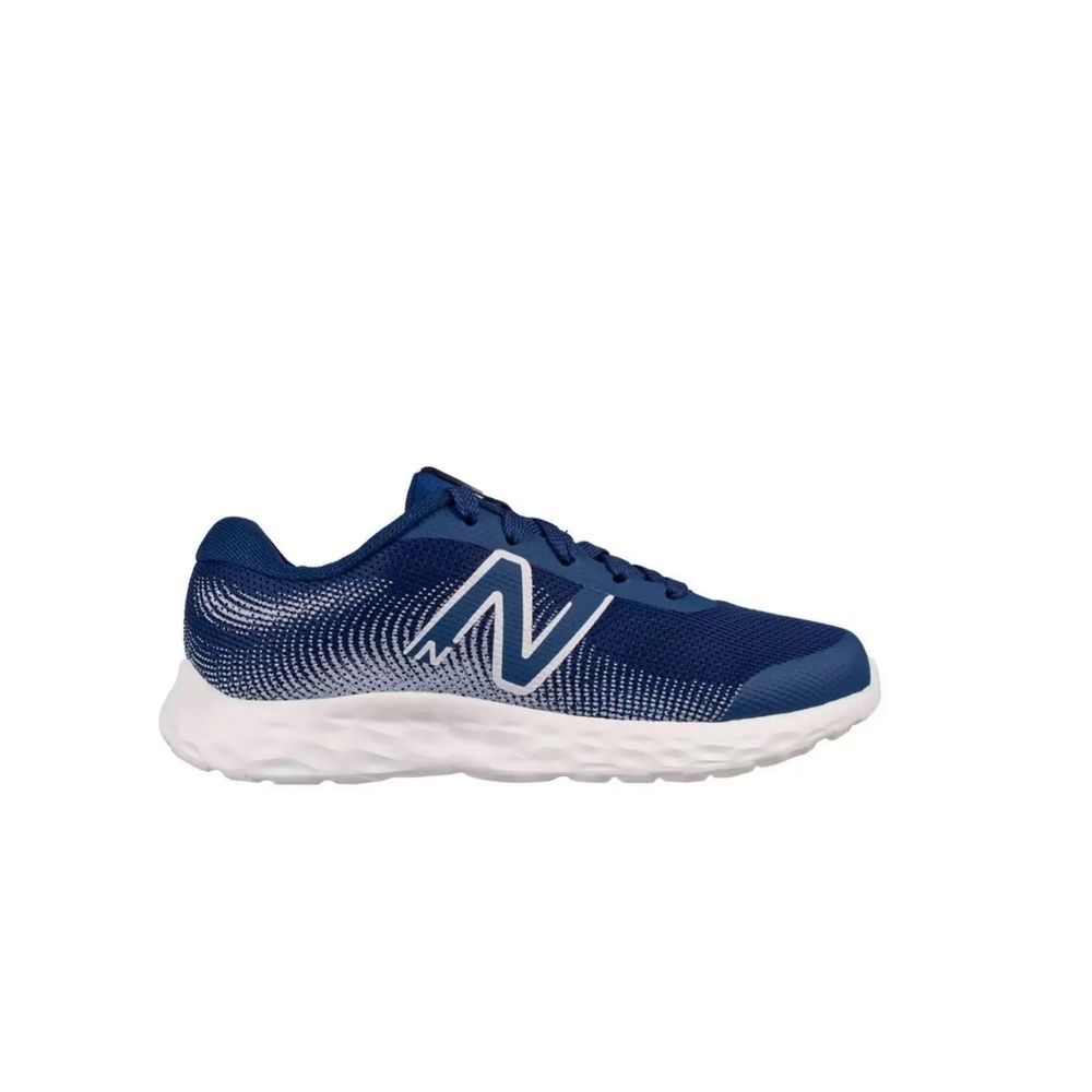 Tenis New Balance 520v8 Infantil PP520V8