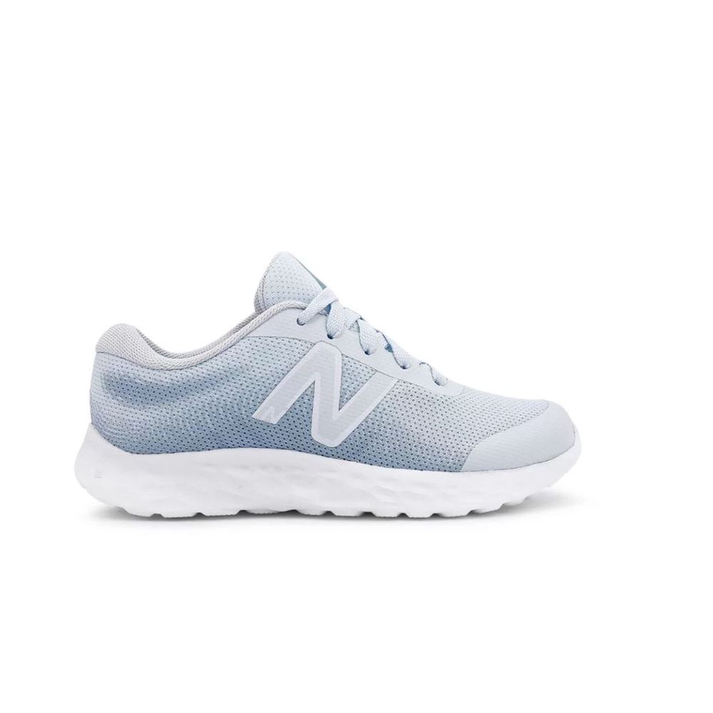Tenis New Balance 520v8 Infantil Azlc